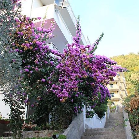 4M Apartments Petrovac Luaran gambar
