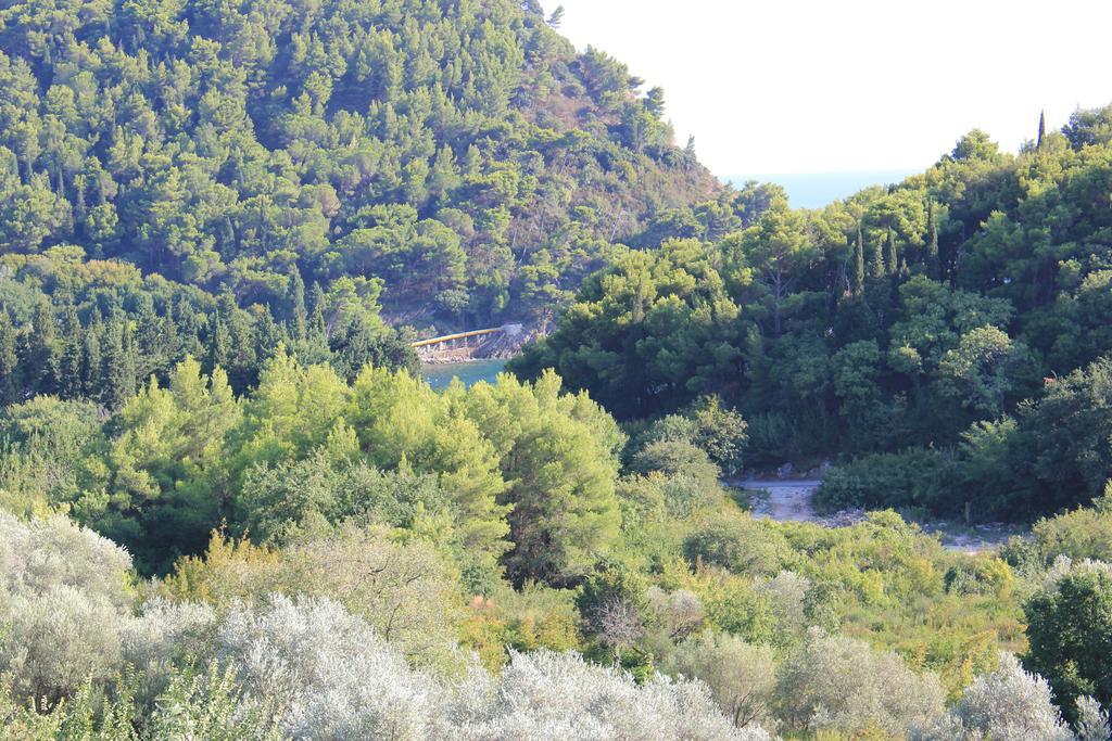 4M Apartments Petrovac Bilik gambar